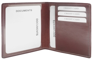 Etui na dokumenty i karty kredytowe TAYLOR